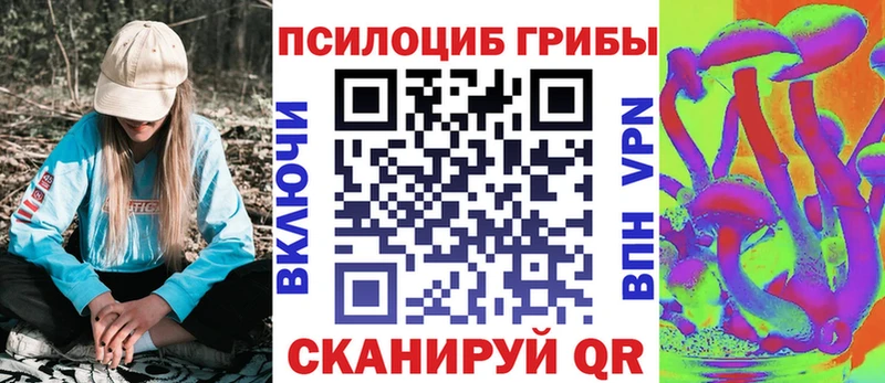 Галлюциногенные грибы Psilocybe кракен онион Лесозаводск